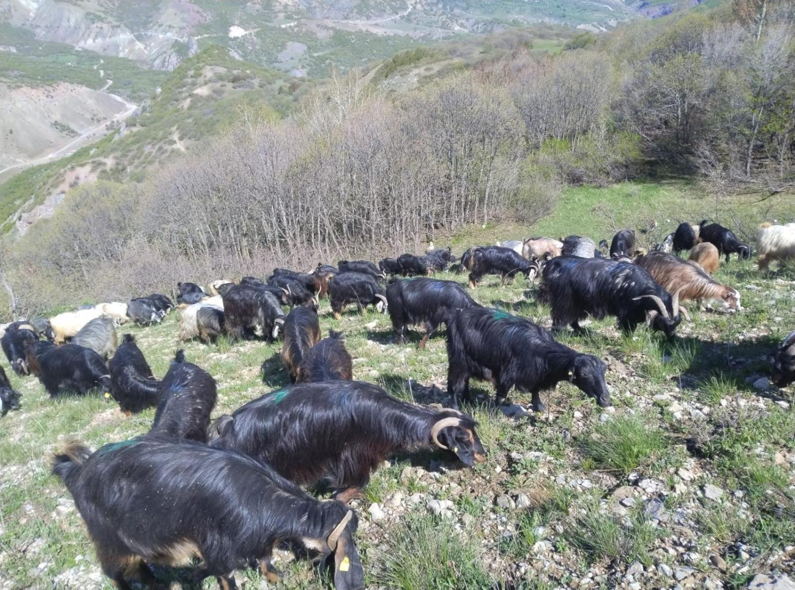 Askireg Hotel Tunceli Zewnętrze zdjęcie