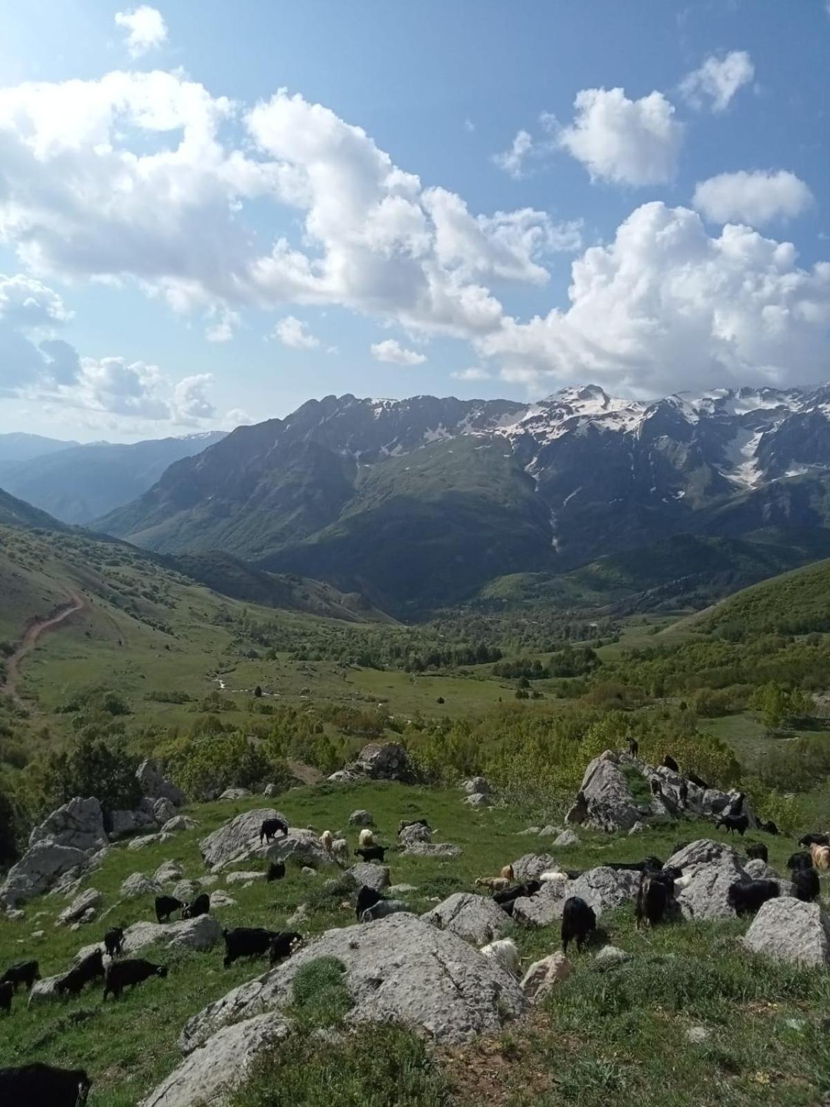 Askireg Hotel Tunceli Zewnętrze zdjęcie