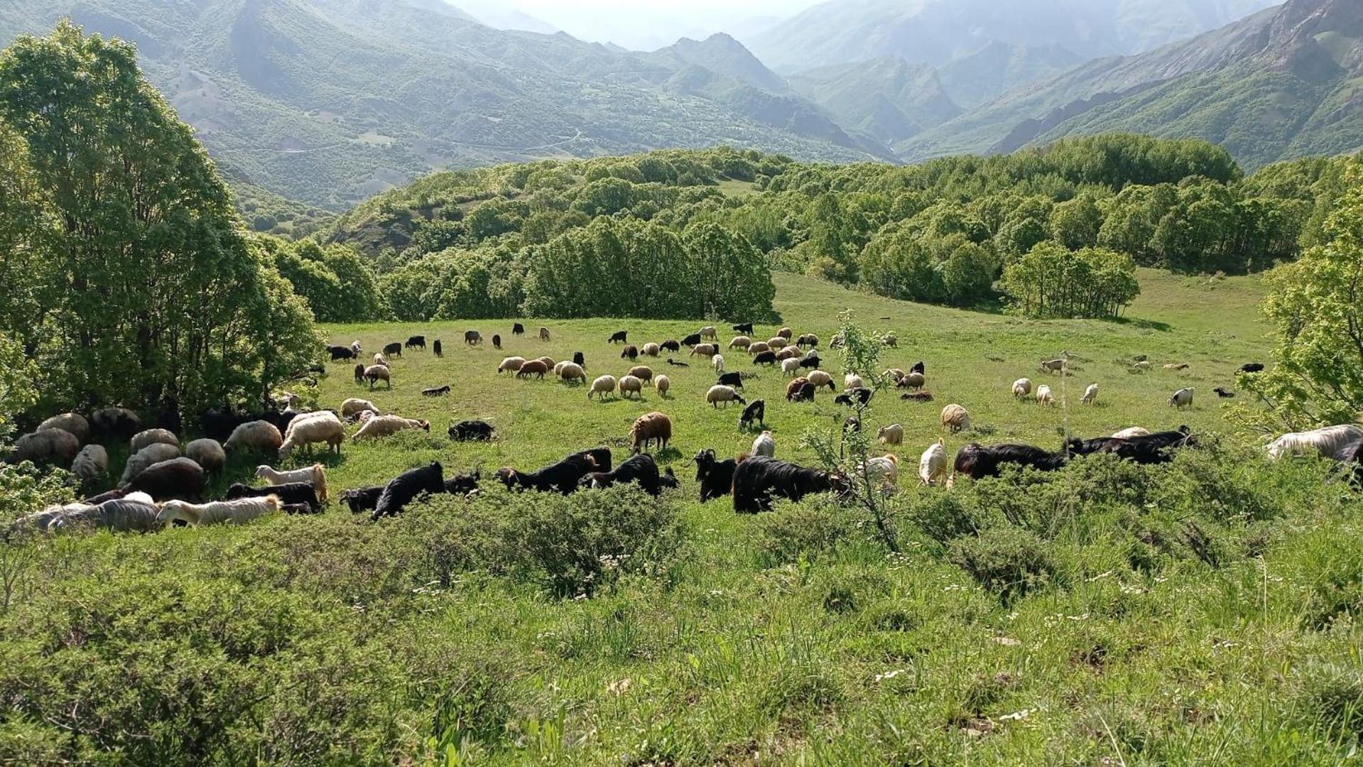 Askireg Hotel Tunceli Zewnętrze zdjęcie